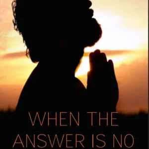 WhenTheAnswerIsNo